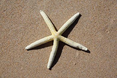 《战地2042》A测内容曝光 网易UU加速器综合提速让你成为战场杀神